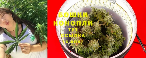 трава Алзамай