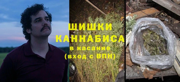 трава Алзамай