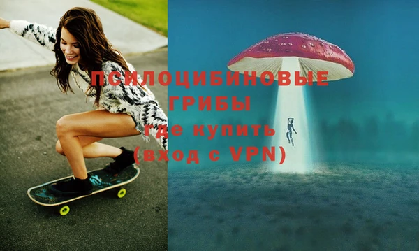 ПСИЛОЦИБИНОВЫЕ ГРИБЫ Пролетарск