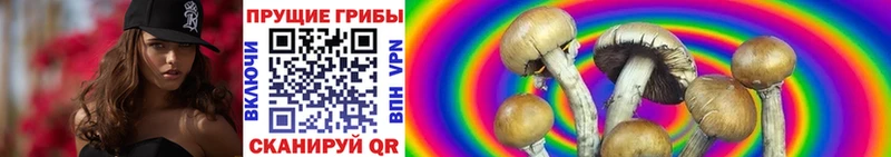 это телеграм  Усмань  Галлюциногенные грибы мицелий  сколько стоит 