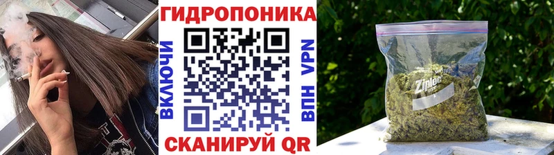Каннабис тримм  OMG вход  Усмань 